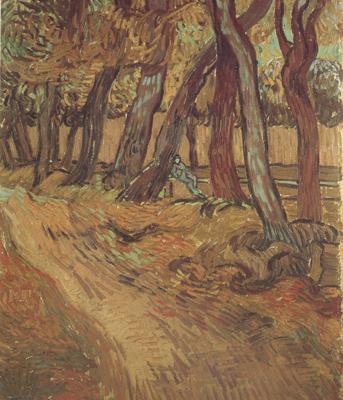 Vincent Van Gogh The Garden of Saint-Paul Hospital with Figure (nn04) France oil painting art